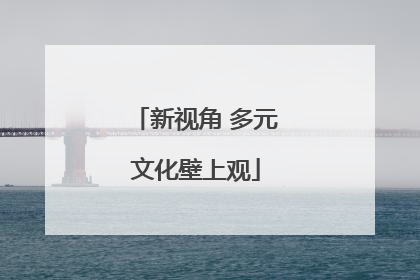 新视角 多元文化壁上观