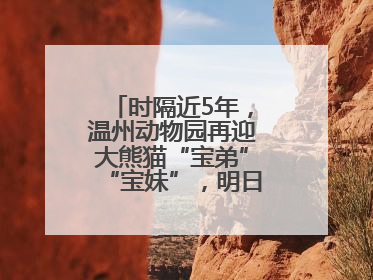 时隔近5年，温州动物园再迎大熊猫“宝弟”“宝妹”，明日正式开馆！