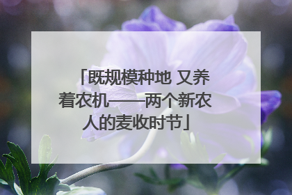 既规模种地 又养着农机——两个新农人的麦收时节