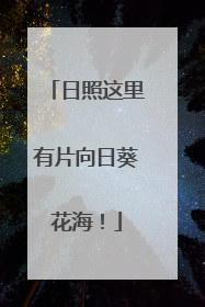 日照这里有片向日葵花海！