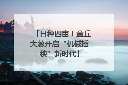 日种四亩！章丘大葱开启“机械插秧”新时代
