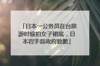 日本一公务员在台旅游时偷拍女子裙底，日本岩手县政府致歉