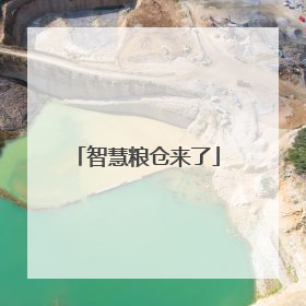智慧粮仓来了