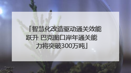 智慧化改造驱动通关效能跃升 巴克图口岸年通关能力将突破300万吨