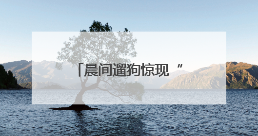 晨间遛狗惊现“毒株”，市民这一举动亮了！