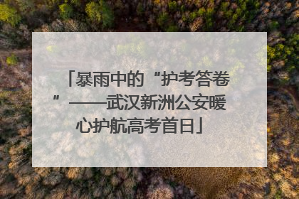 暴雨中的“护考答卷”——武汉新洲公安暖心护航高考首日