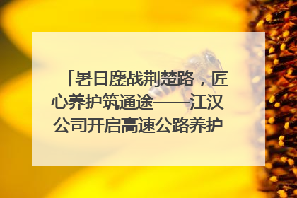 暑日鏖战荆楚路，匠心养护筑通途——江汉公司开启高速公路养护专项工程建设热潮