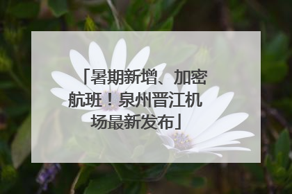 暑期新增、加密航班！泉州晋江机场最新发布