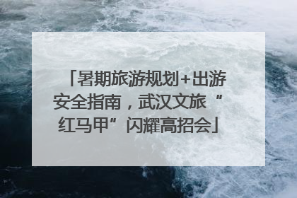 暑期旅游规划+出游安全指南，武汉文旅“红马甲”闪耀高招会