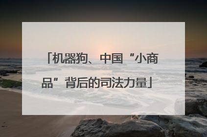机器狗、中国“小商品”背后的司法力量