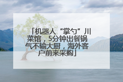 机器人“掌勺”川菜馆，5分钟出餐锅气不输大厨，海外客户前来采购