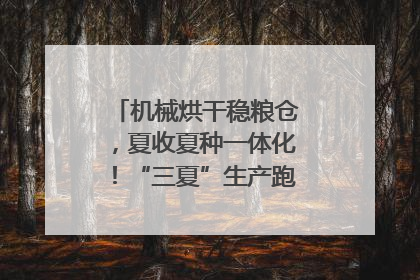 机械烘干稳粮仓，夏收夏种一体化！“三夏”生产跑出加速度｜麦报