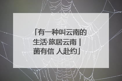 有一种叫云南的生活·旅居云南｜菌有信 人赴约
