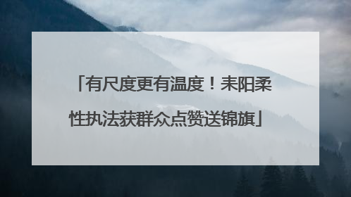 有尺度更有温度！耒阳柔性执法获群众点赞送锦旗
