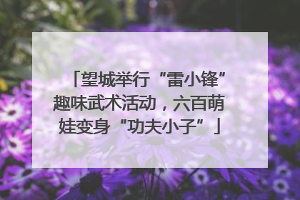 望城举行“雷小锋”趣味武术活动，六百萌娃变身“功夫小子”