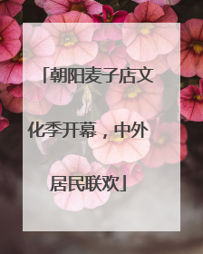 朝阳麦子店文化季开幕，中外居民联欢