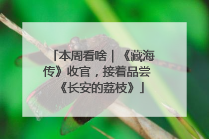 本周看啥｜《藏海传》收官，接着品尝《长安的荔枝》