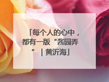 每个人的心中，都有一版“酱园弄”｜黄沂海