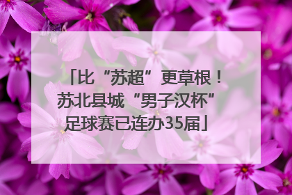 比“苏超”更草根！苏北县城“男子汉杯”足球赛已连办35届