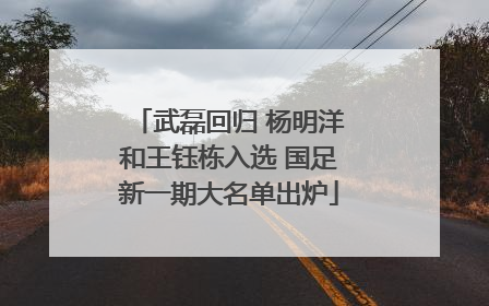 武磊回归 杨明洋和王钰栋入选 国足新一期大名单出炉