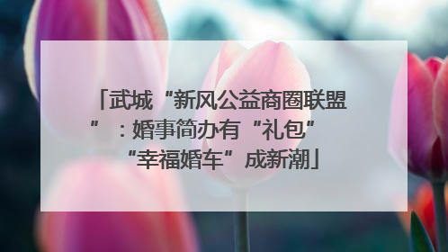 武城“新风公益商圈联盟”：婚事简办有“礼包” “幸福婚车”成新潮