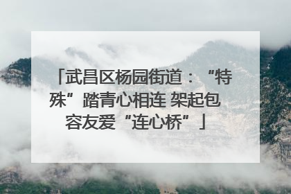 武昌区杨园街道：“特殊”踏青心相连 架起包容友爱“连心桥”