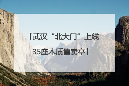 武汉“北大门”上线35座木质售卖亭