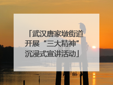 武汉唐家墩街道开展“三大精神”沉浸式宣讲活动