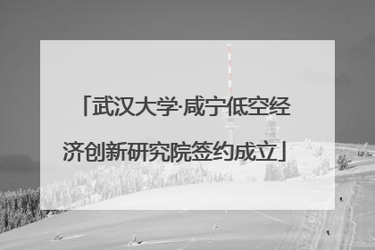 武汉大学·咸宁低空经济创新研究院签约成立