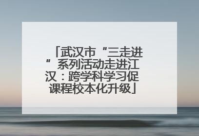 武汉市“三走进”系列活动走进江汉：跨学科学习促课程校本化升级