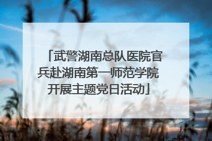 武警湖南总队医院官兵赴湖南第一师范学院开展主题党日活动