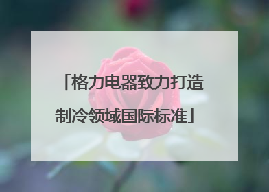 格力电器致力打造制冷领域国际标准