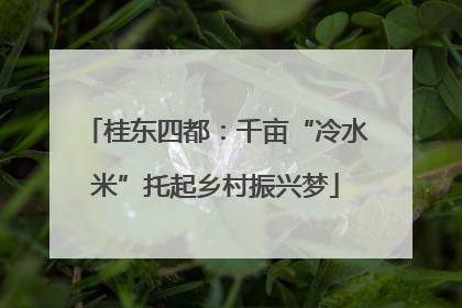 桂东四都：千亩“冷水米”托起乡村振兴梦