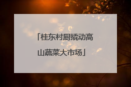 桂东村厨撬动高山蔬菜大市场