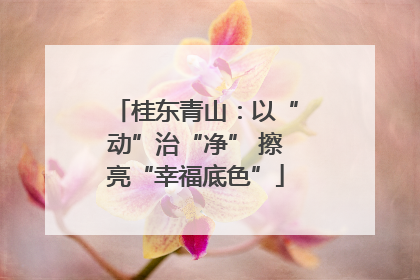 桂东青山：以“动”治“净” 擦亮“幸福底色”