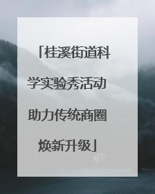 桂溪街道科学实验秀活动助力传统商圈焕新升级