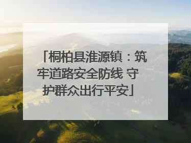 桐柏县淮源镇：筑牢道路安全防线 守护群众出行平安