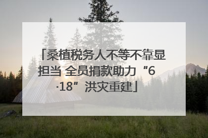 桑植税务人不等不靠显担当 全员捐款助力“6·18”洪灾重建