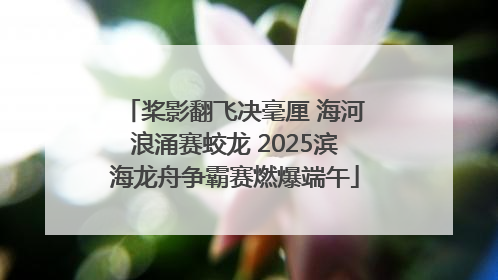 桨影翻飞决毫厘 海河浪涌赛蛟龙 2025滨海龙舟争霸赛燃爆端午