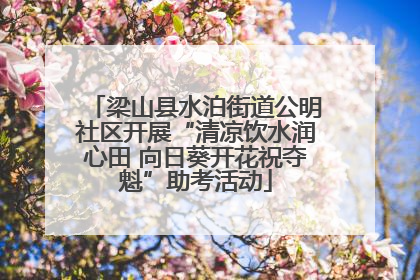 梁山县水泊街道公明社区开展“清凉饮水润心田 向日葵开花祝夺魁”助考活动