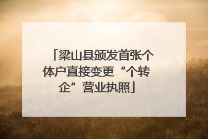 梁山县颁发首张个体户直接变更“个转企”营业执照