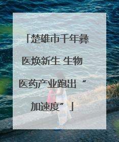 楚雄市千年彝医焕新生 生物医药产业跑出“加速度”