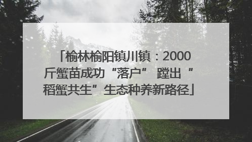 榆林榆阳镇川镇：2000斤蟹苗成功“落户” 蹚出“稻蟹共生”生态种养新路径