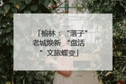 榆林：“落子”老城焕新 “盘活”文旅蝶变