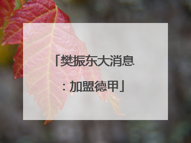 樊振东大消息：加盟德甲