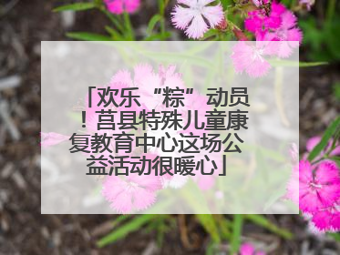 欢乐“粽”动员！莒县特殊儿童康复教育中心这场公益活动很暖心