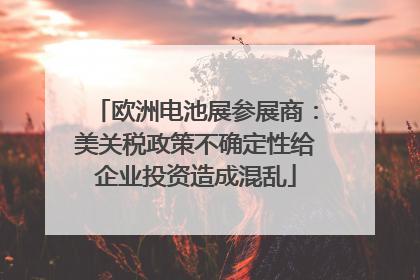 欧洲电池展参展商：美关税政策不确定性给企业投资造成混乱
