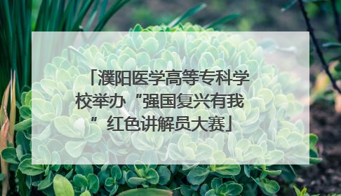 濮阳医学高等专科学校举办“强国复兴有我”红色讲解员大赛