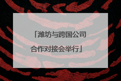 潍坊与跨国公司合作对接会举行