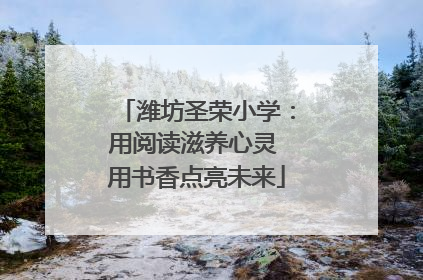 潍坊圣荣小学：用阅读滋养心灵 用书香点亮未来
